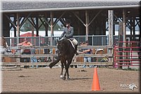 4H-1stSh-08_0802.jpg