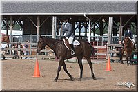 4H-1stSh-08_0808.jpg