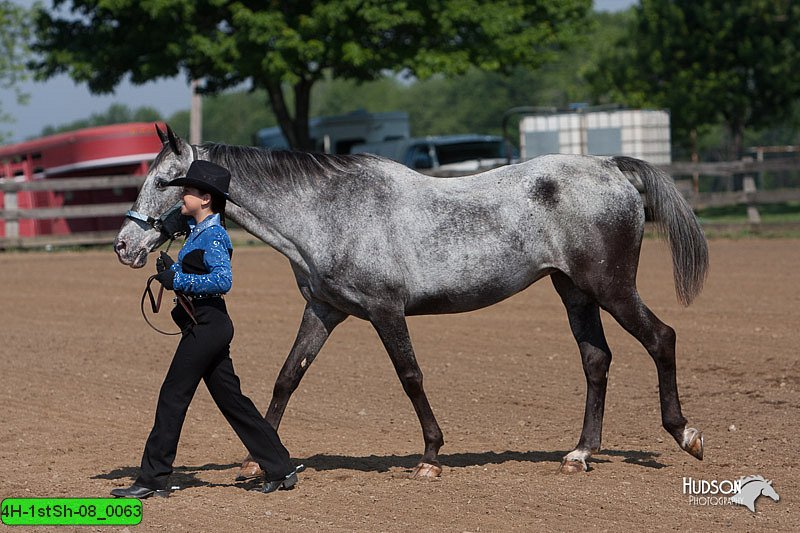 4H-1stSh-08_0063.jpg