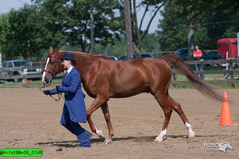 4H-1stSh-08_0148.jpg