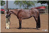 4H-1stSh-08_0089.jpg