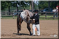 4H-1stSh-08_0098.jpg