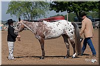 4H-1stSh-08_0099.jpg