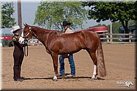 4H-1stSh-08_0104.jpg