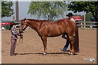 4H-1stSh-08_0109.jpg