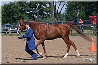4H-1stSh-08_0148.jpg