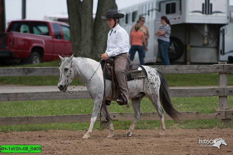 4H-1stSh-08_0409.jpg