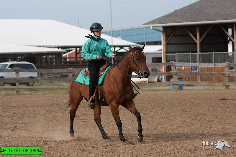 4H-1stSh-08_0964.jpg