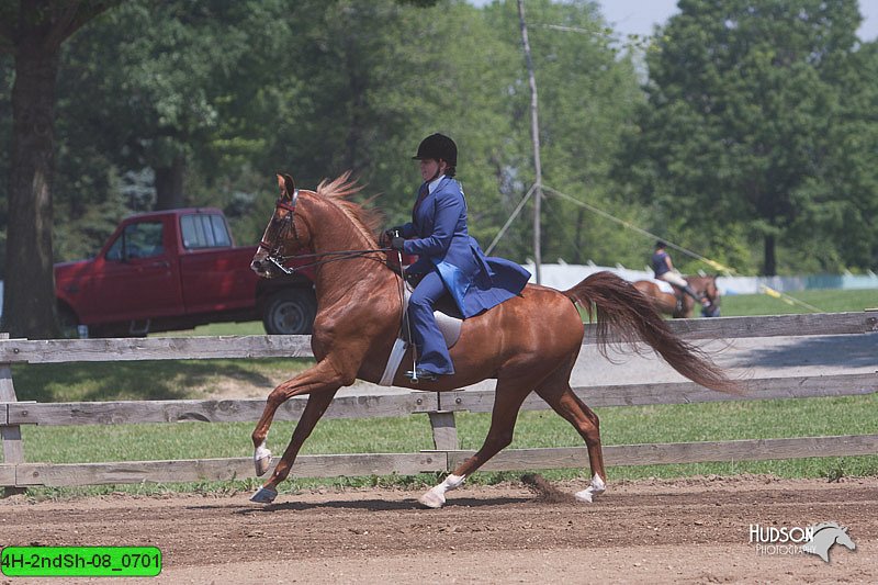 4H-2ndSh-08_0701.jpg
