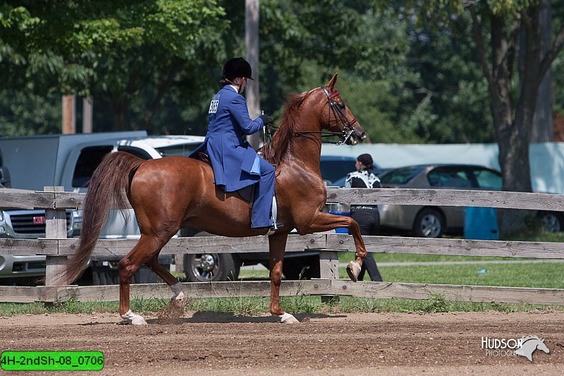 4H-2ndSh-08_0706.jpg