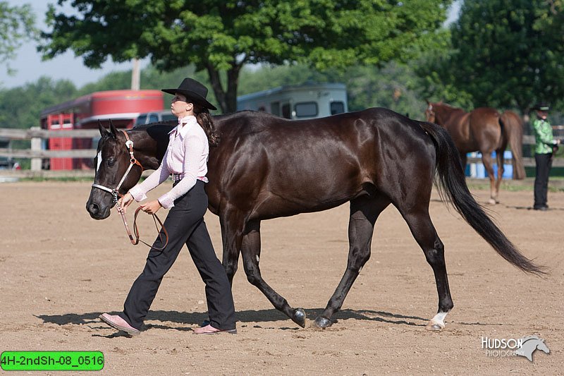 4H-2ndSh-08_0516.jpg