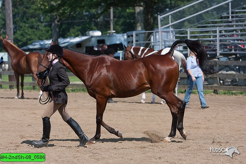 4H-2ndSh-08_0586.jpg