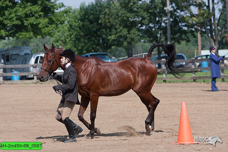 4H-2ndSh-08_0587.jpg