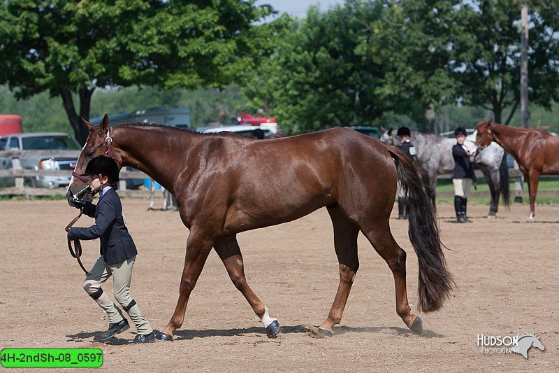 4H-2ndSh-08_0597.jpg