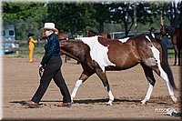 4H-2ndSh-08_0523.jpg