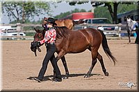 4H-2ndSh-08_0542.jpg