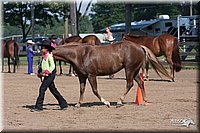 4H-2ndSh-08_0574.jpg