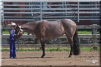 4H-2ndSh-08_0580.jpg