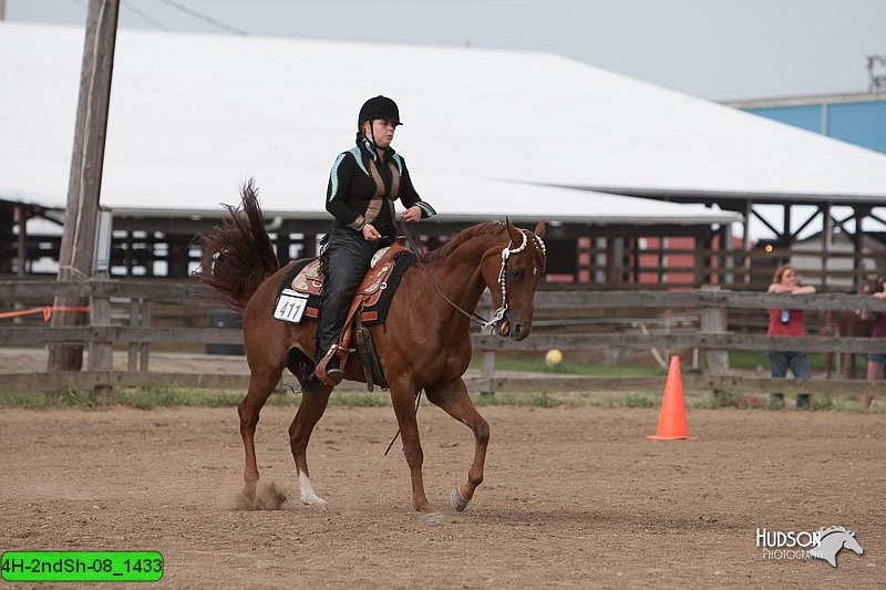 4H-2ndSh-08_1433.jpg