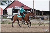 4H-2ndSh-08_1543.jpg