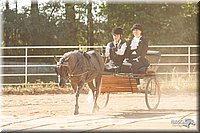 4H-Dstr-08_1142.jpg