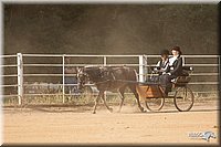 4H-Dstr-08_1151.jpg