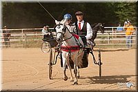 4H-Dstr-08_1169.jpg