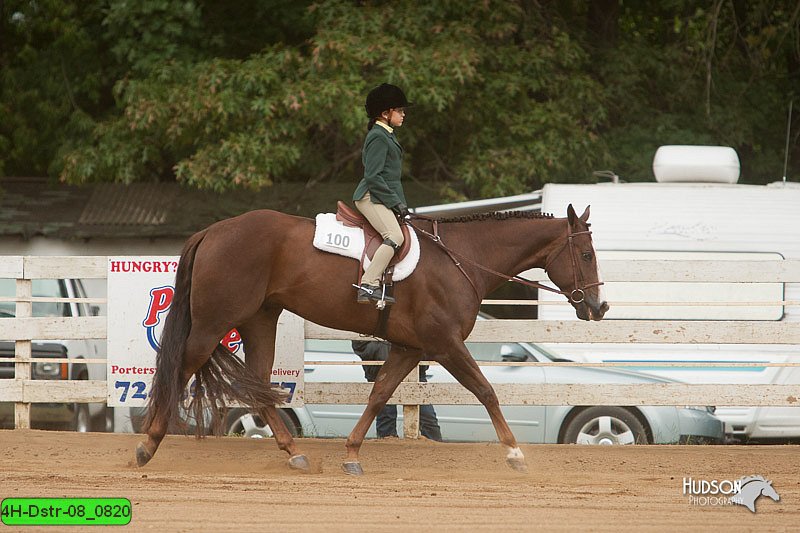 4H-Dstr-08_0820.jpg