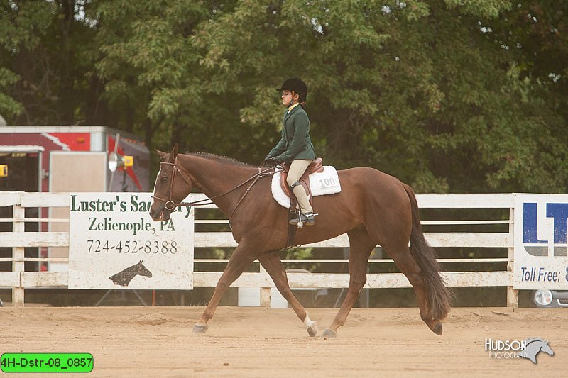 4H-Dstr-08_0857.jpg