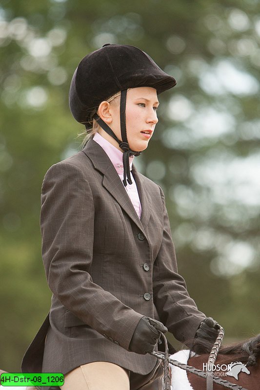 4H-Dstr-08_1206.jpg