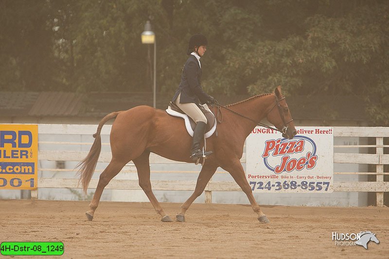 4H-Dstr-08_1249.jpg