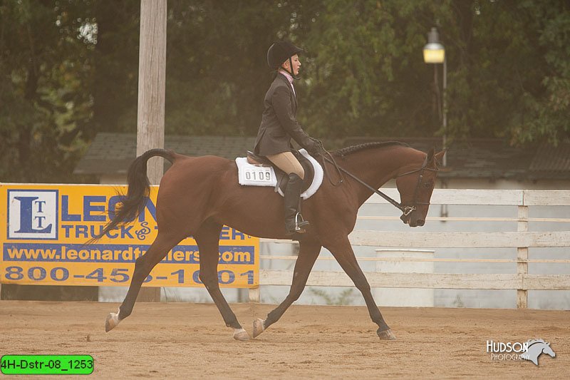 4H-Dstr-08_1253.jpg
