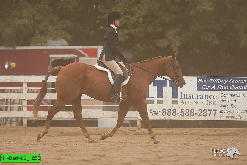 4H-Dstr-08_1255.jpg