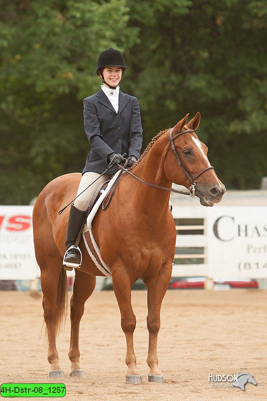 4H-Dstr-08_1257.jpg