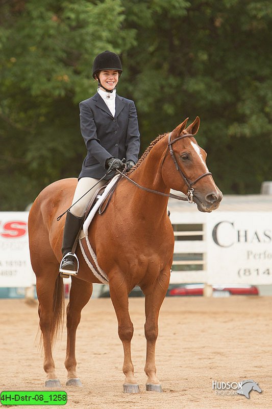 4H-Dstr-08_1258.jpg