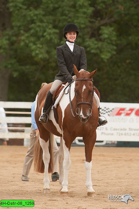 4H-Dstr-08_1259.jpg