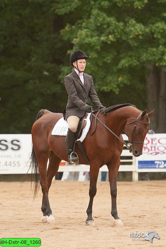 4H-Dstr-08_1260.jpg
