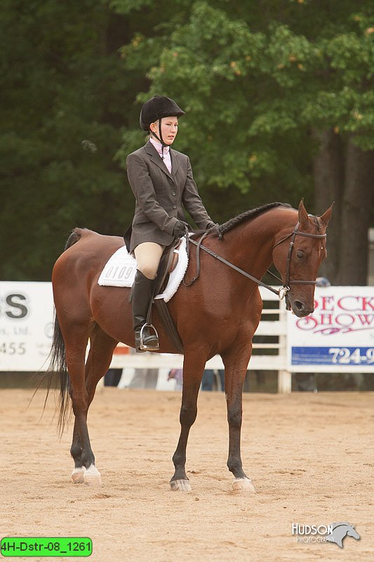 4H-Dstr-08_1261.jpg