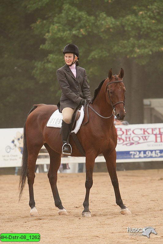 4H-Dstr-08_1262.jpg