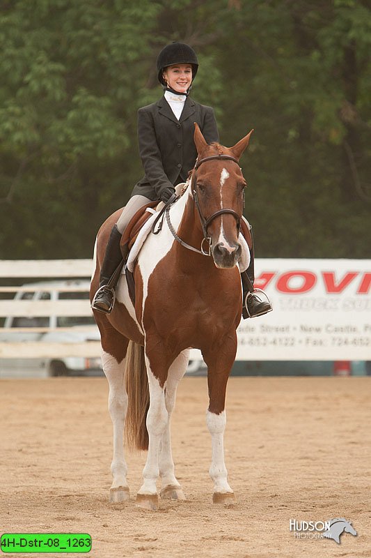 4H-Dstr-08_1263.jpg