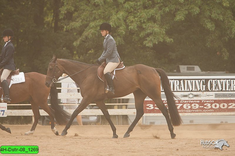 4H-Dstr-08_1269.jpg