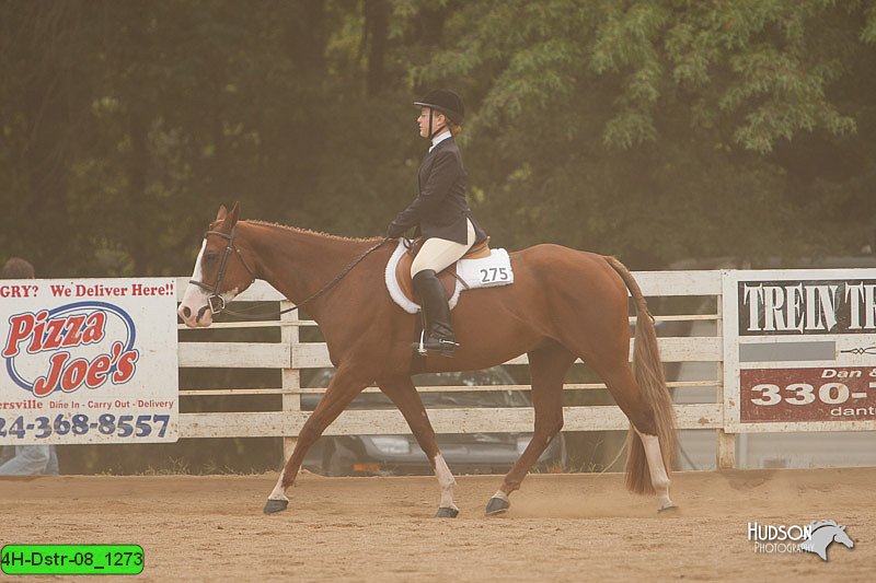 4H-Dstr-08_1273.jpg