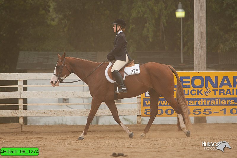 4H-Dstr-08_1274.jpg