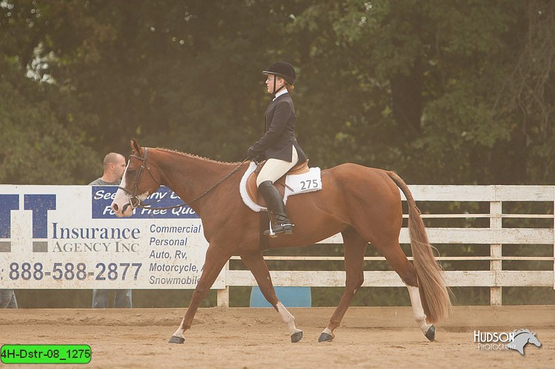 4H-Dstr-08_1275.jpg