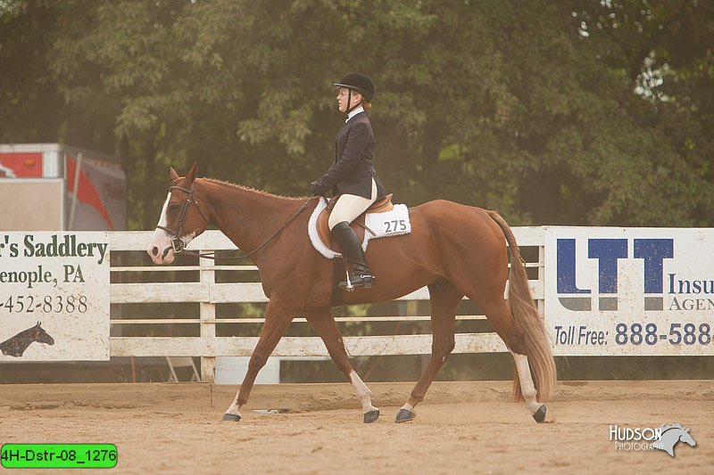 4H-Dstr-08_1276.jpg