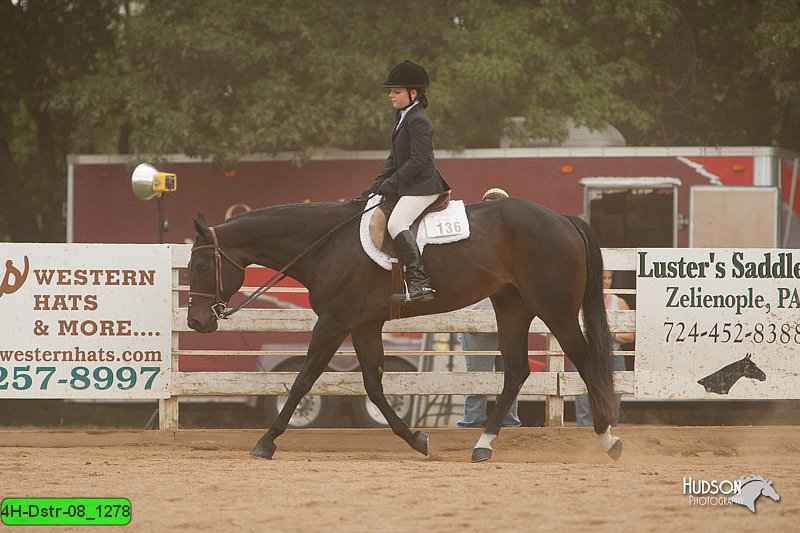 4H-Dstr-08_1278.jpg