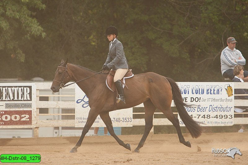 4H-Dstr-08_1279.jpg