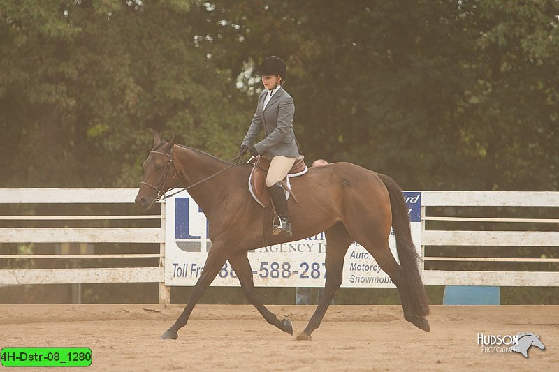 4H-Dstr-08_1280.jpg
