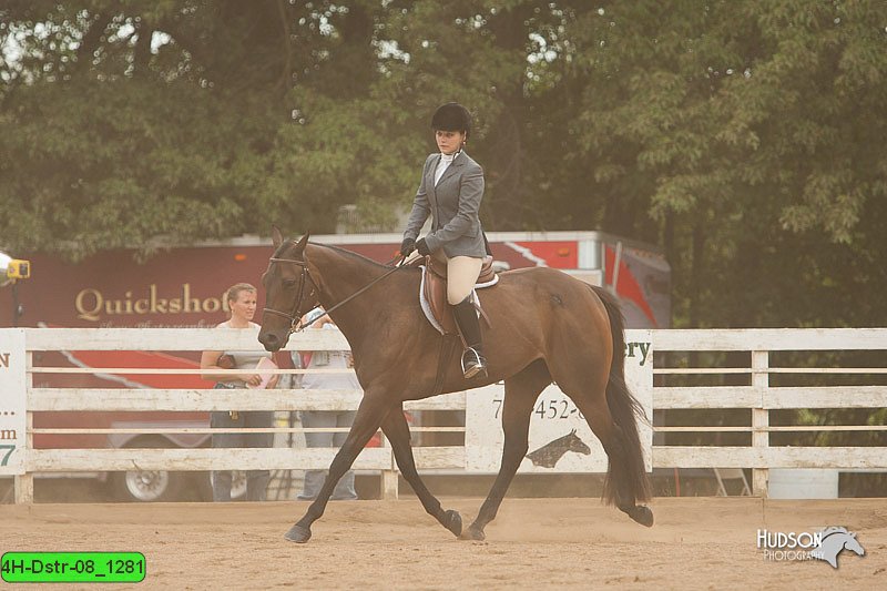 4H-Dstr-08_1281.jpg
