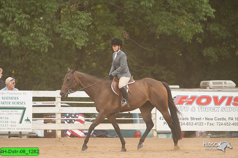 4H-Dstr-08_1282.jpg